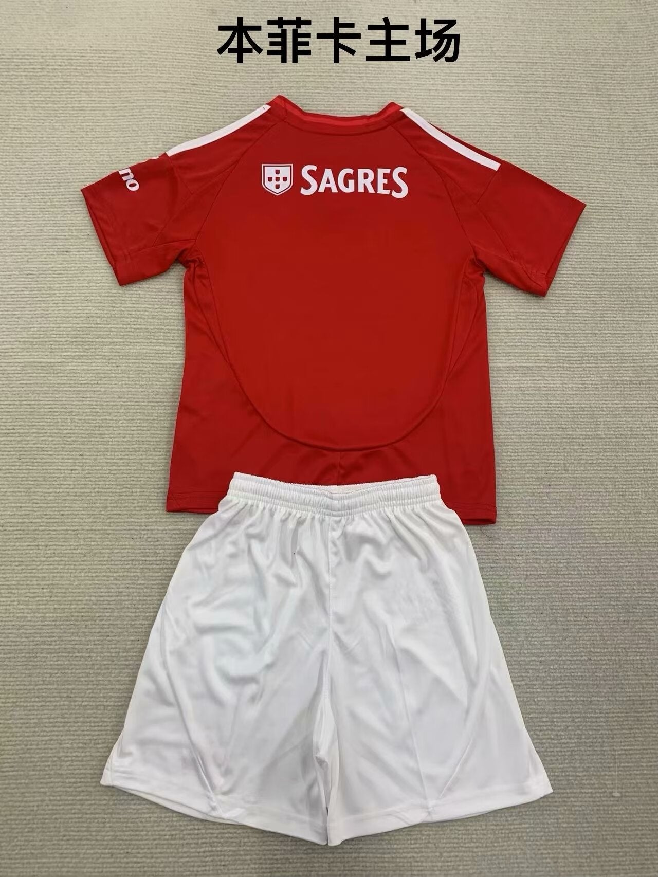 24-25 Benfica Home Fan Version