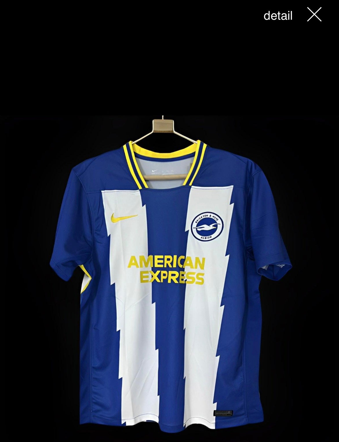 24-25 Brighton Home Fan Version