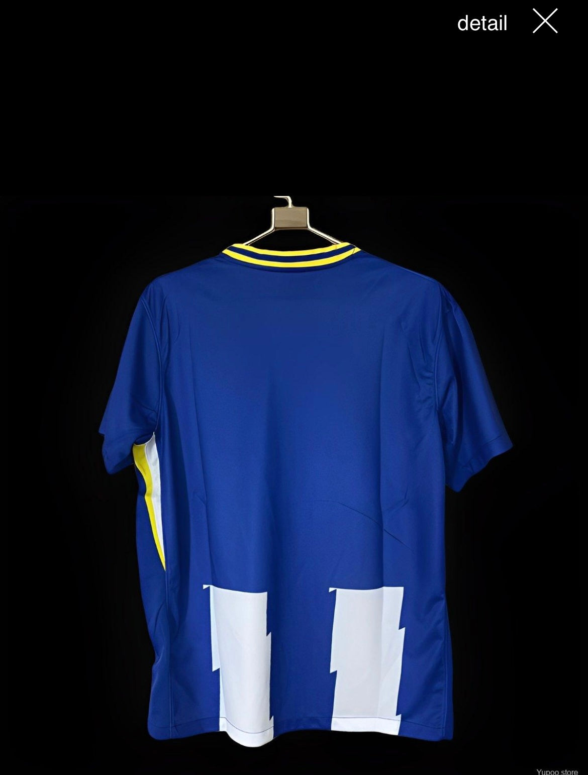 24-25 Brighton Home Fan Version